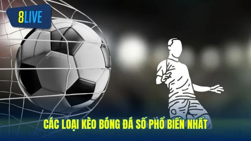 3 loại tỷ lệ cá cược kèo bóng đá số phổ biến