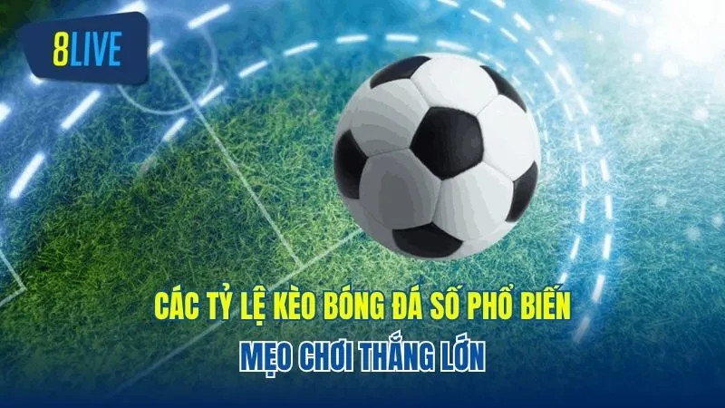 Các Tỷ Lệ Kèo Bóng Đá Số Phổ Biến Và Mẹo Chơi Thắng Lớn