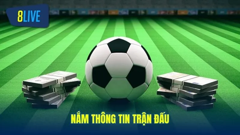 Chiến thuật chơi cá cược tăng cơ hội thắng lớn