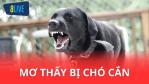 Giải mã giấc mơ bị chó cắn - Con số may mắn cho bạn!