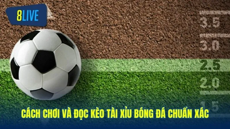 Hướng dẫn cách đọc kèo tài xỉu bóng đá cho người mới