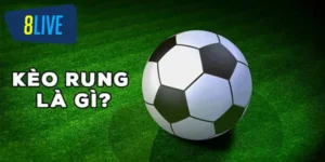 Kèo Rung Là Gì? Bí Kíp Cược Kèo Rung Hiệu Quả Nhất