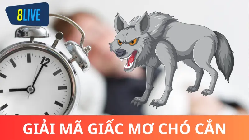 Mộng mị thấy chó của người khác cắn mình