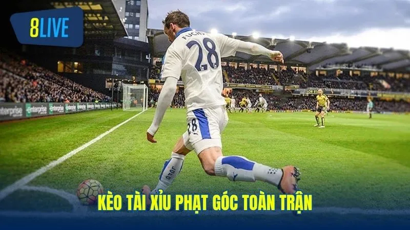 Tài xỉu phạt góc là loại kèo được người chơi tại 8live yêu thích